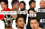 hamapro001.jpg